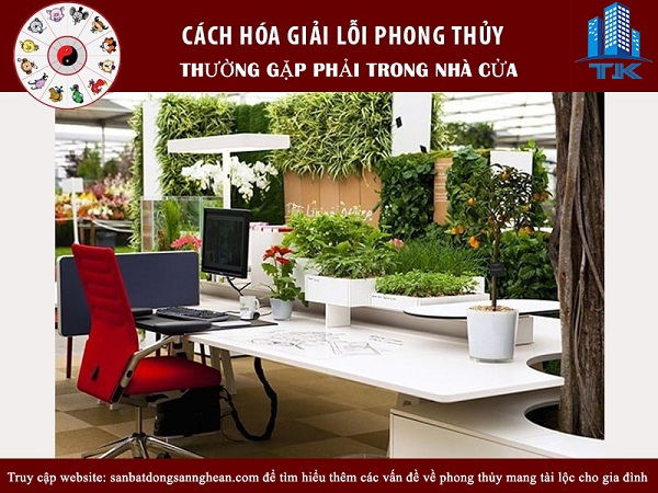 hoa-giai-nhung-loi-phong-thuy-nha-cua-thuong-gap-trong-cuoc-song